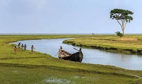 নিঝুম দ্বীপে ক্যাম্পিং। 