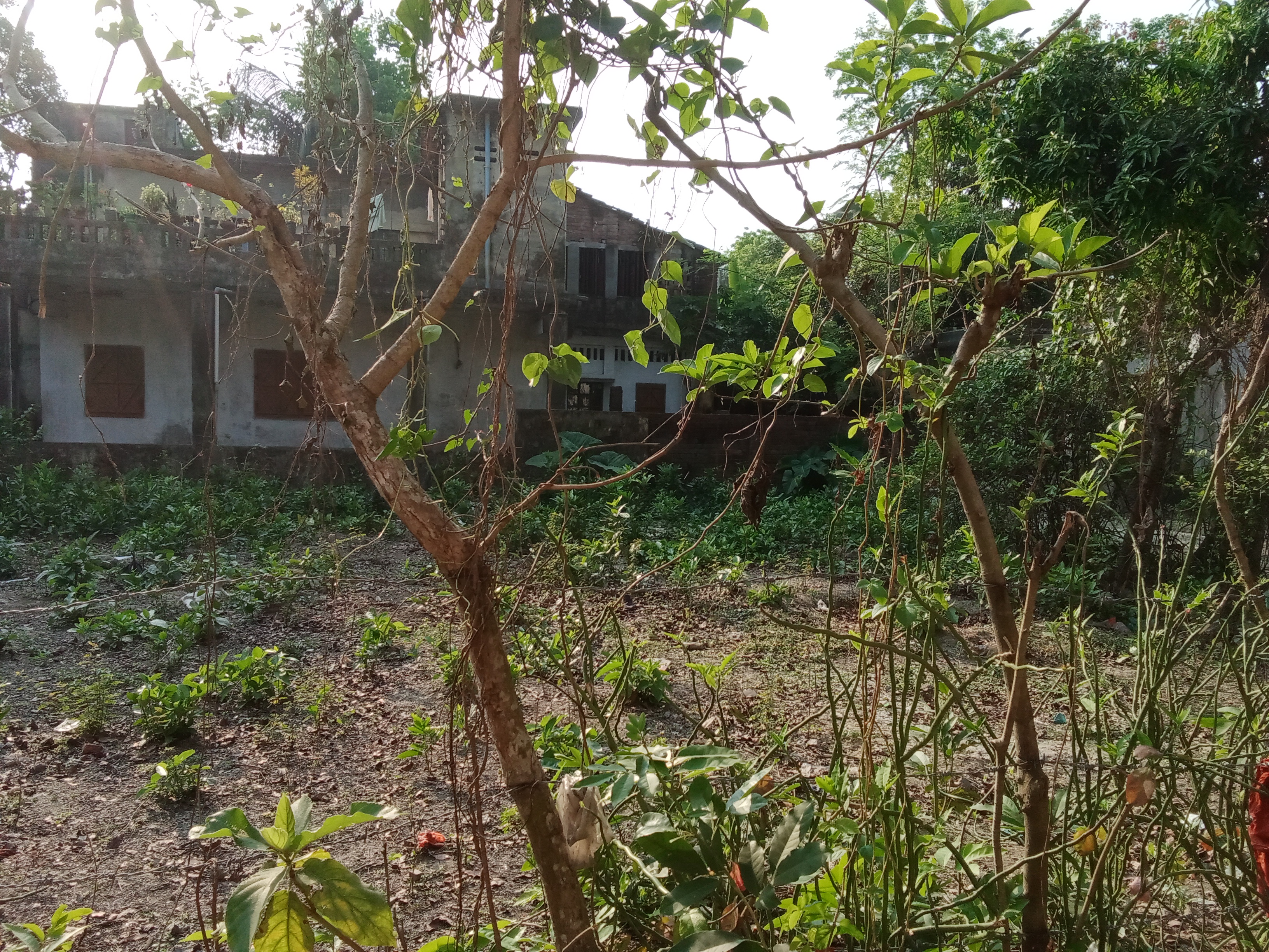 Additional Image