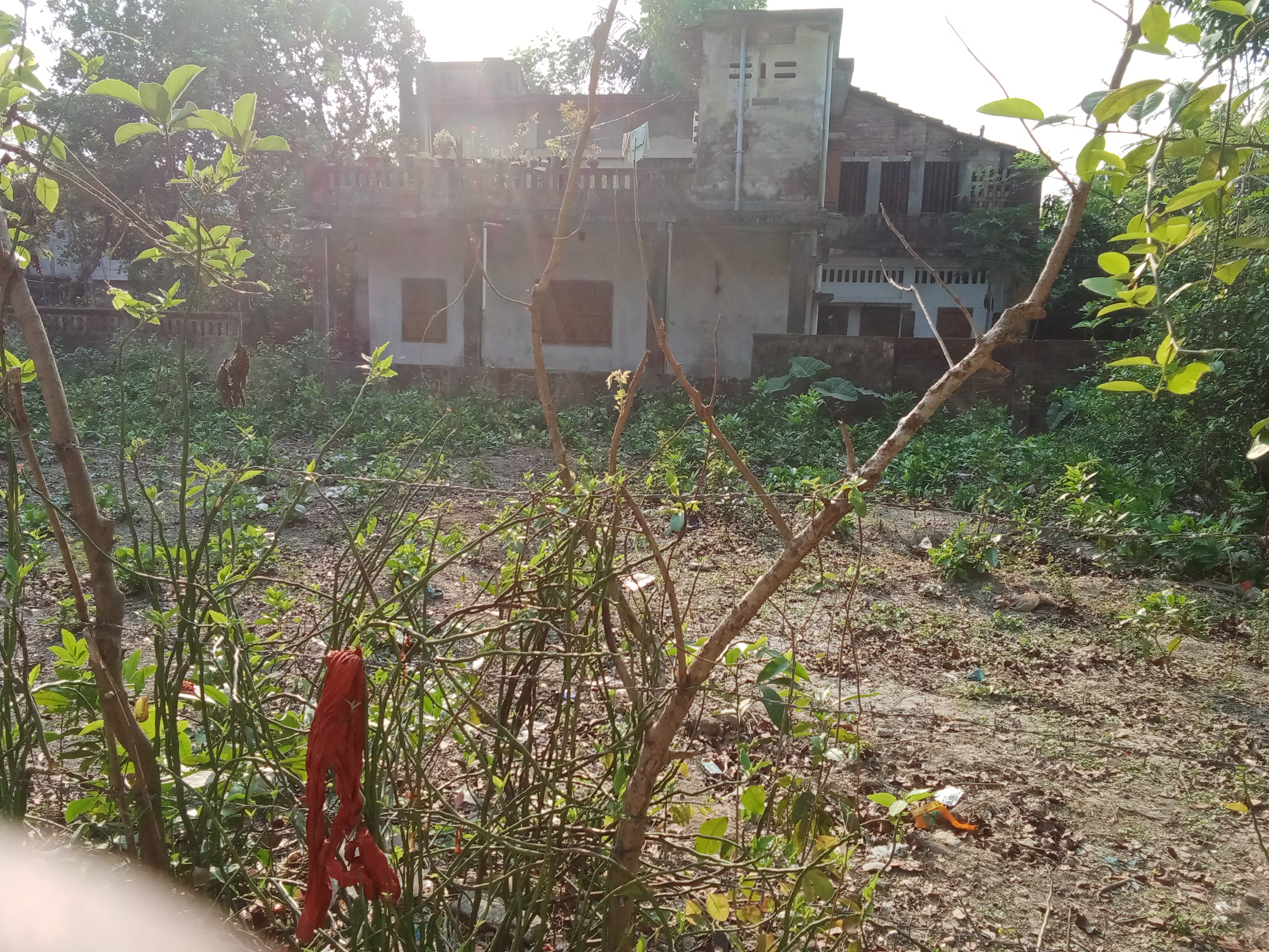 Additional Image
