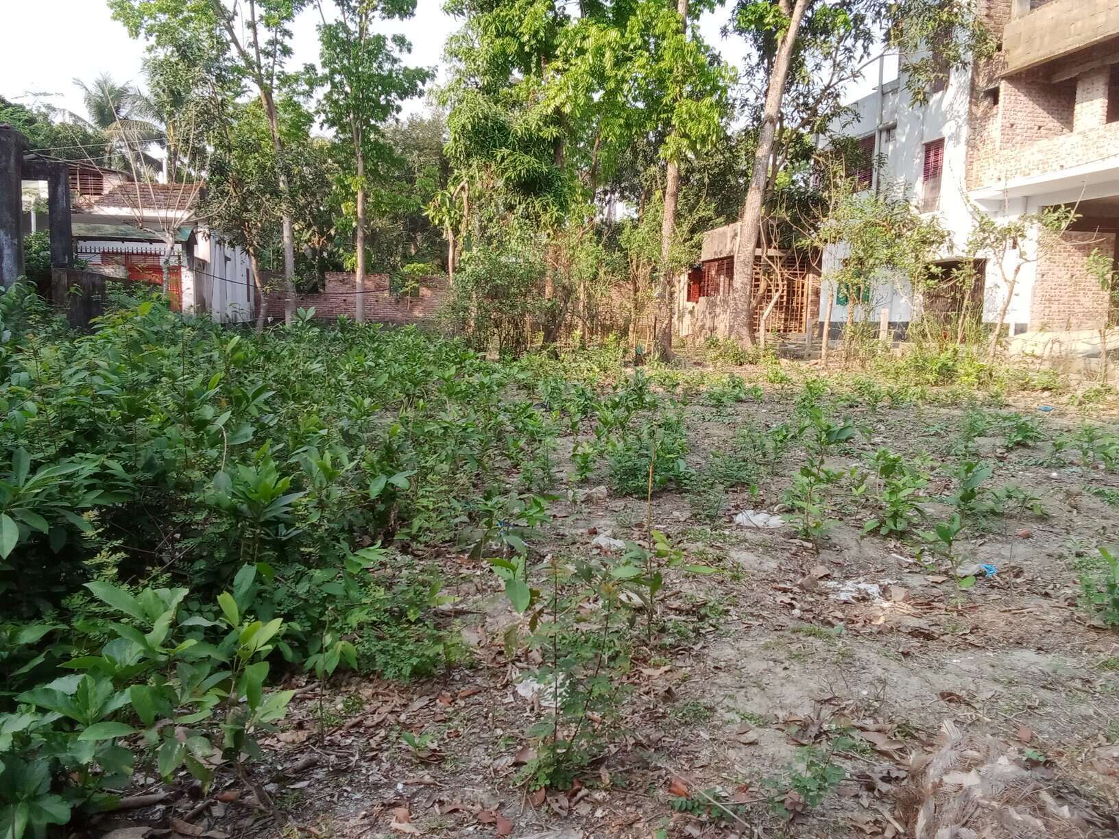 লষ্করপাড়া, কাটিয়া মসজিদ সংলগ্ন জমি বিক্রি হবে